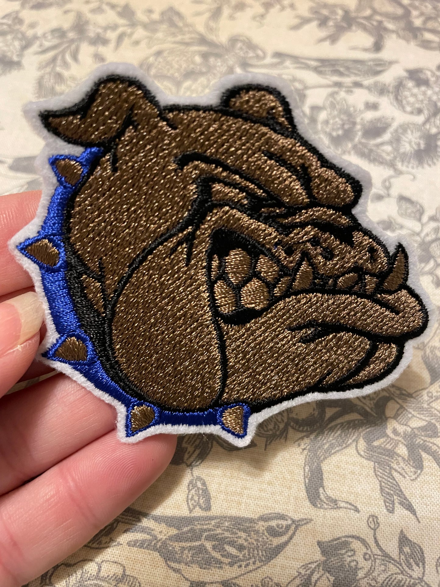 School Mascot iron on hat patch