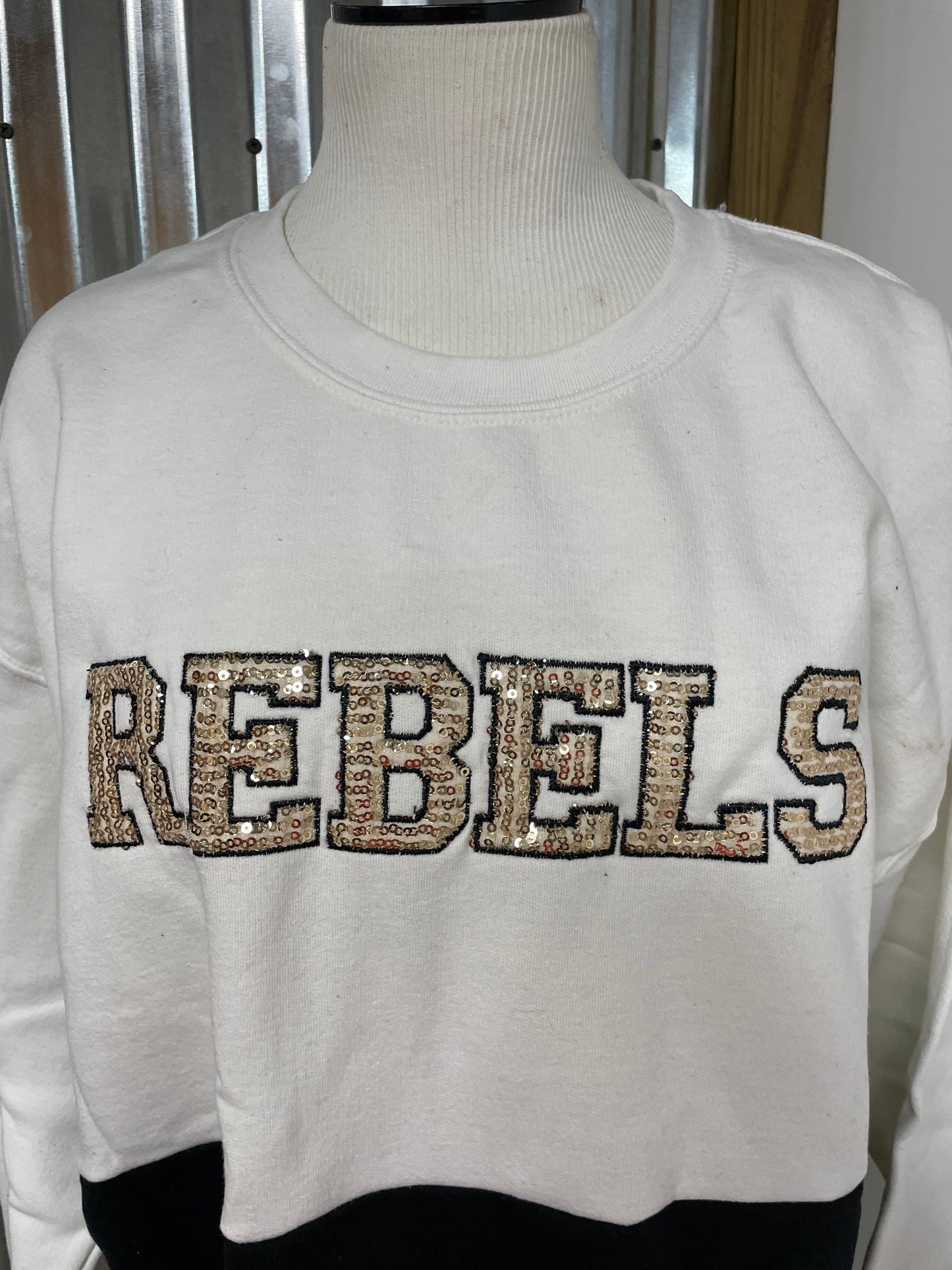 Rebels embroidered color block sweatshirt