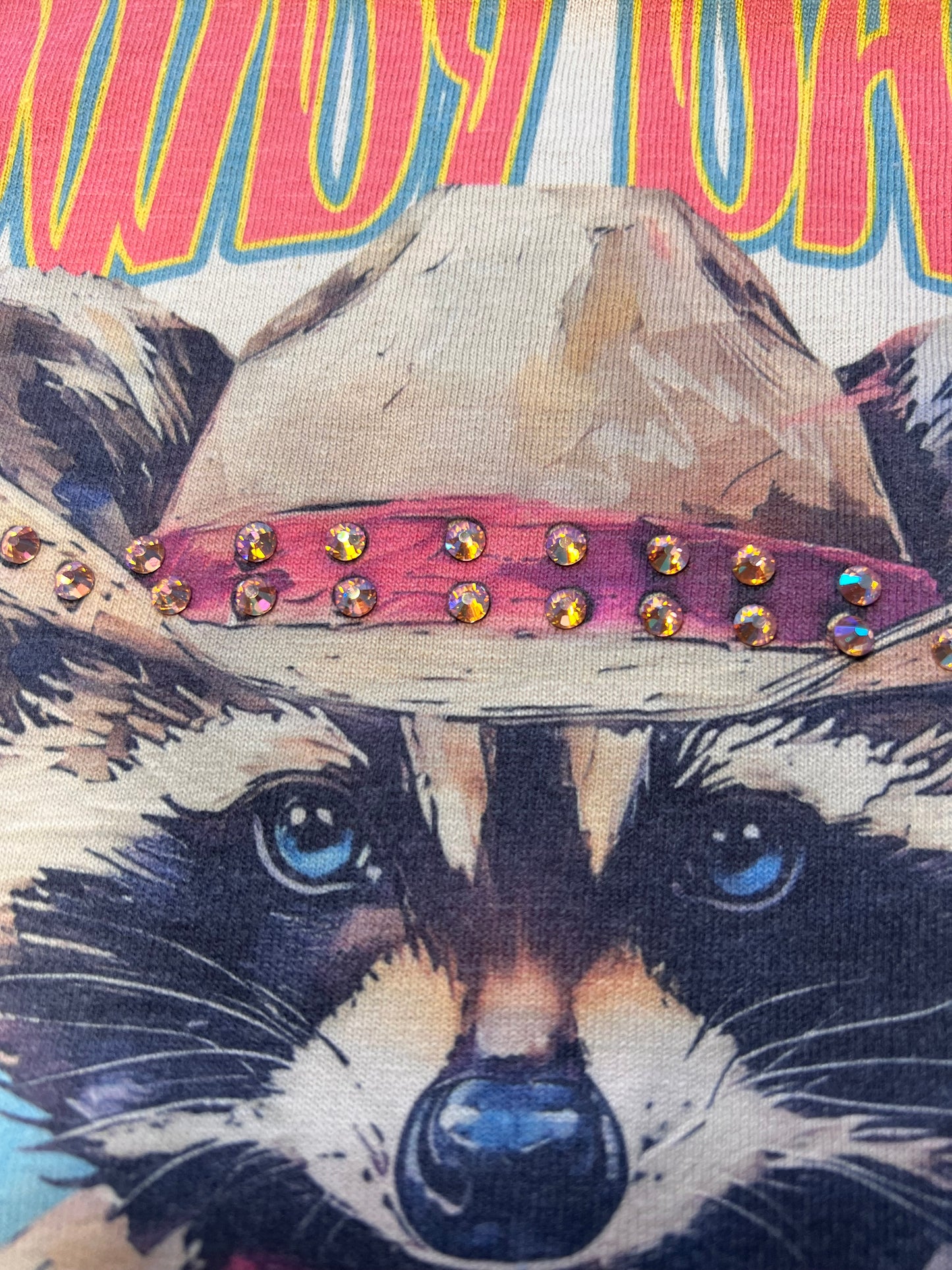 Rhinestone Raccoon Shirt, Western Cowboy Raccoon Tee, Funny Animal Graphic Tee, Country Concert Shirt, Cute Rodeo Outfit, Sparkly Cowgirl Top